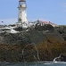 lighthouse_island_seal_machias_v_2385_can1438.jpg
